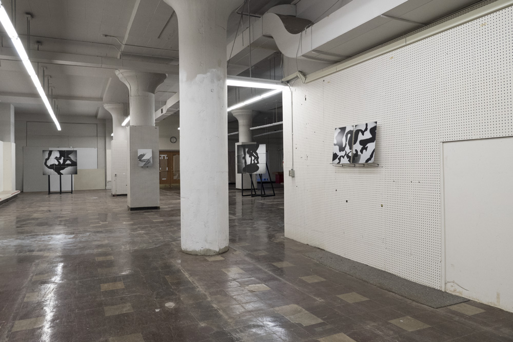 Of Shadows Of<br />installation view<br />2016